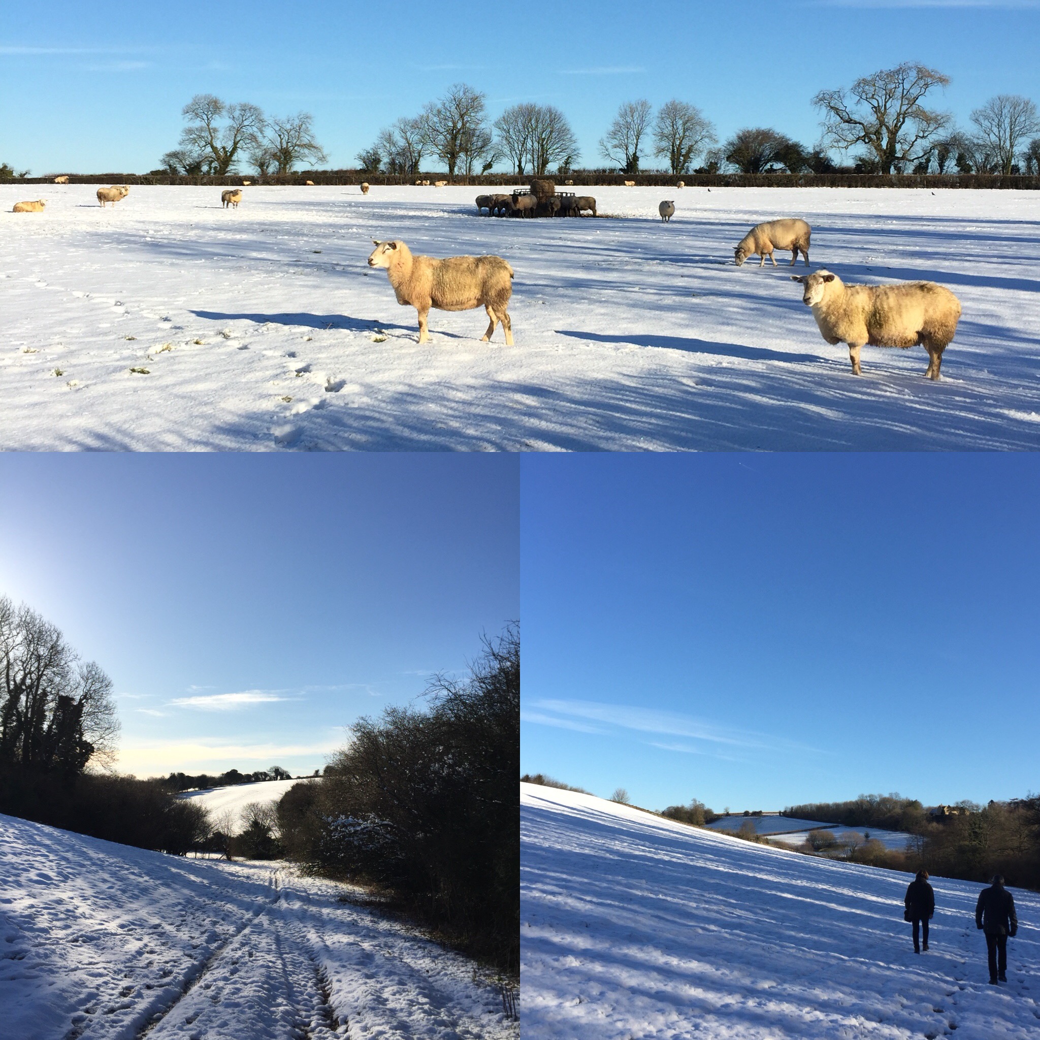 Snowy Cotswolds