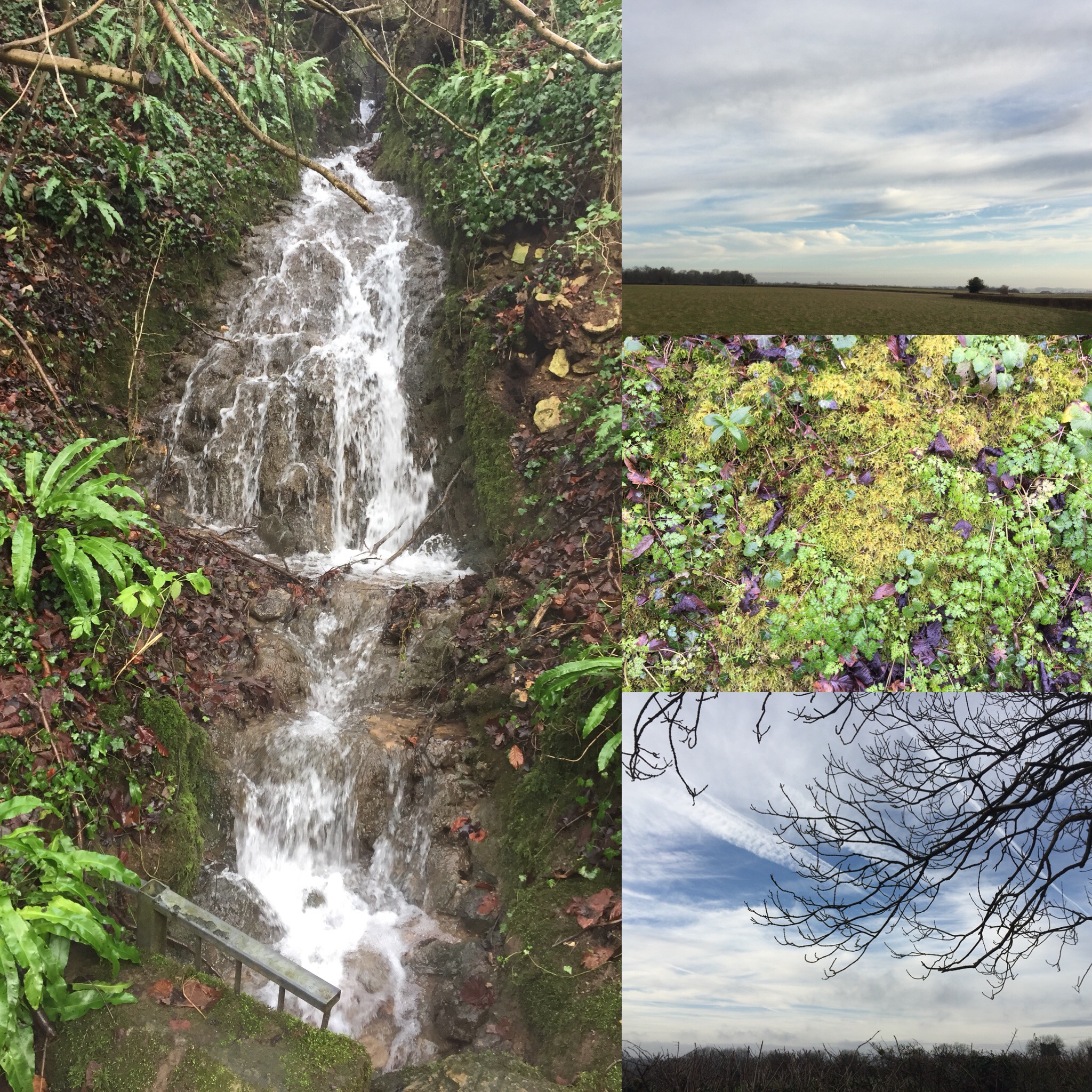 Mossy Banks and Big Skies Near Horsley