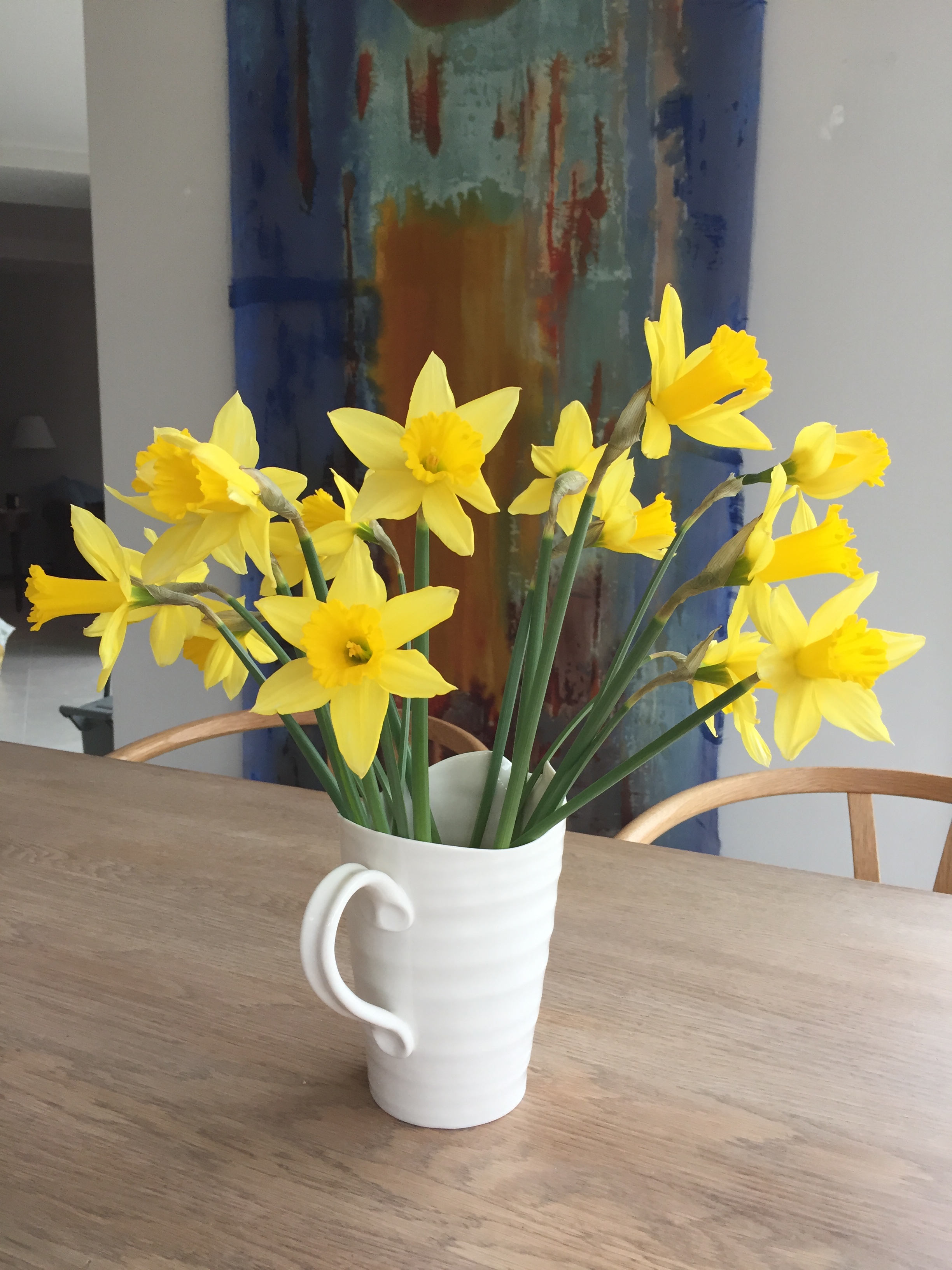 First Daffodils of 2018