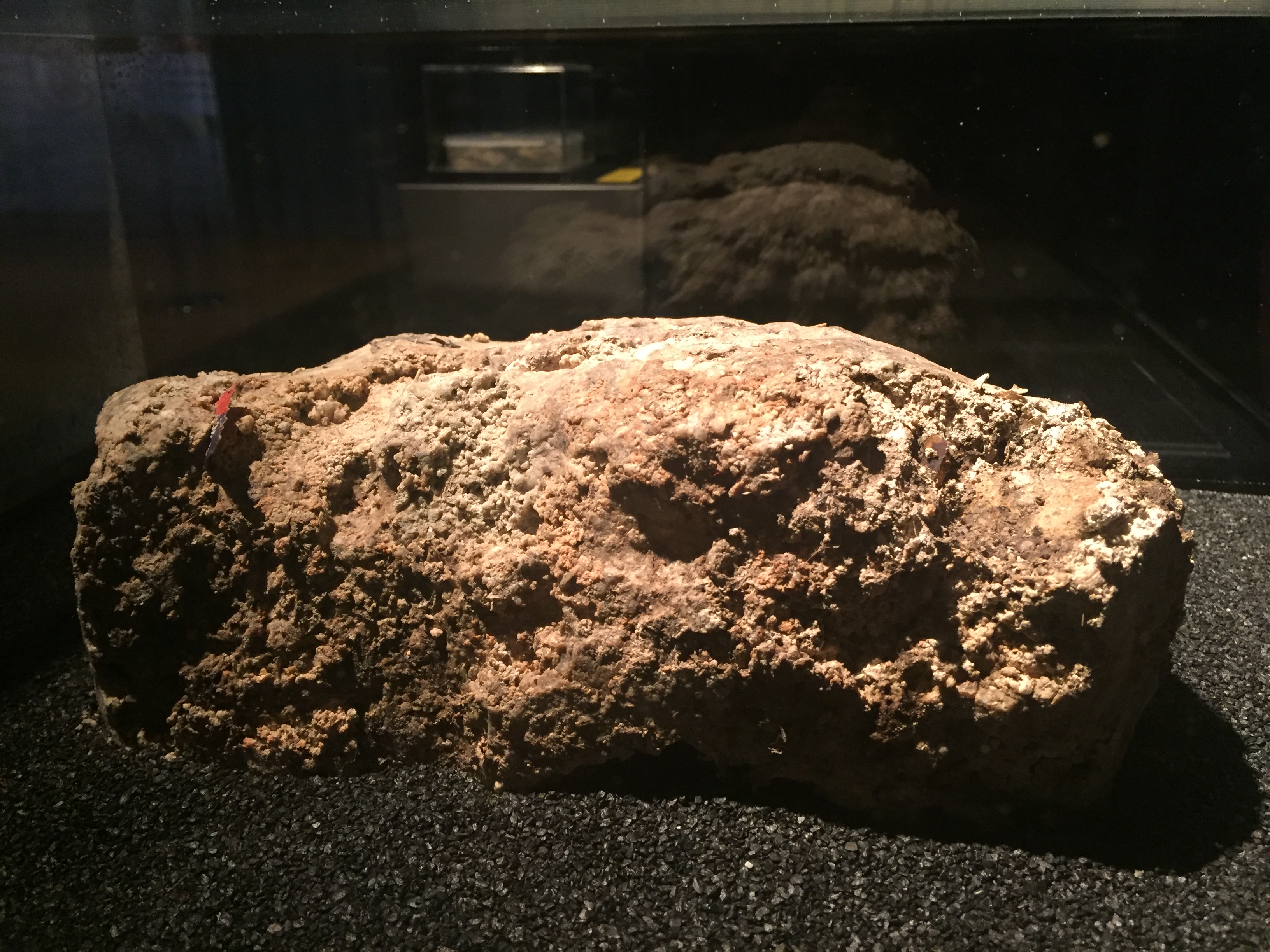 The Museum of London Fatberg