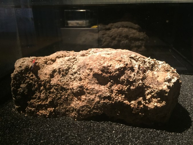 The Museum of London Fatberg