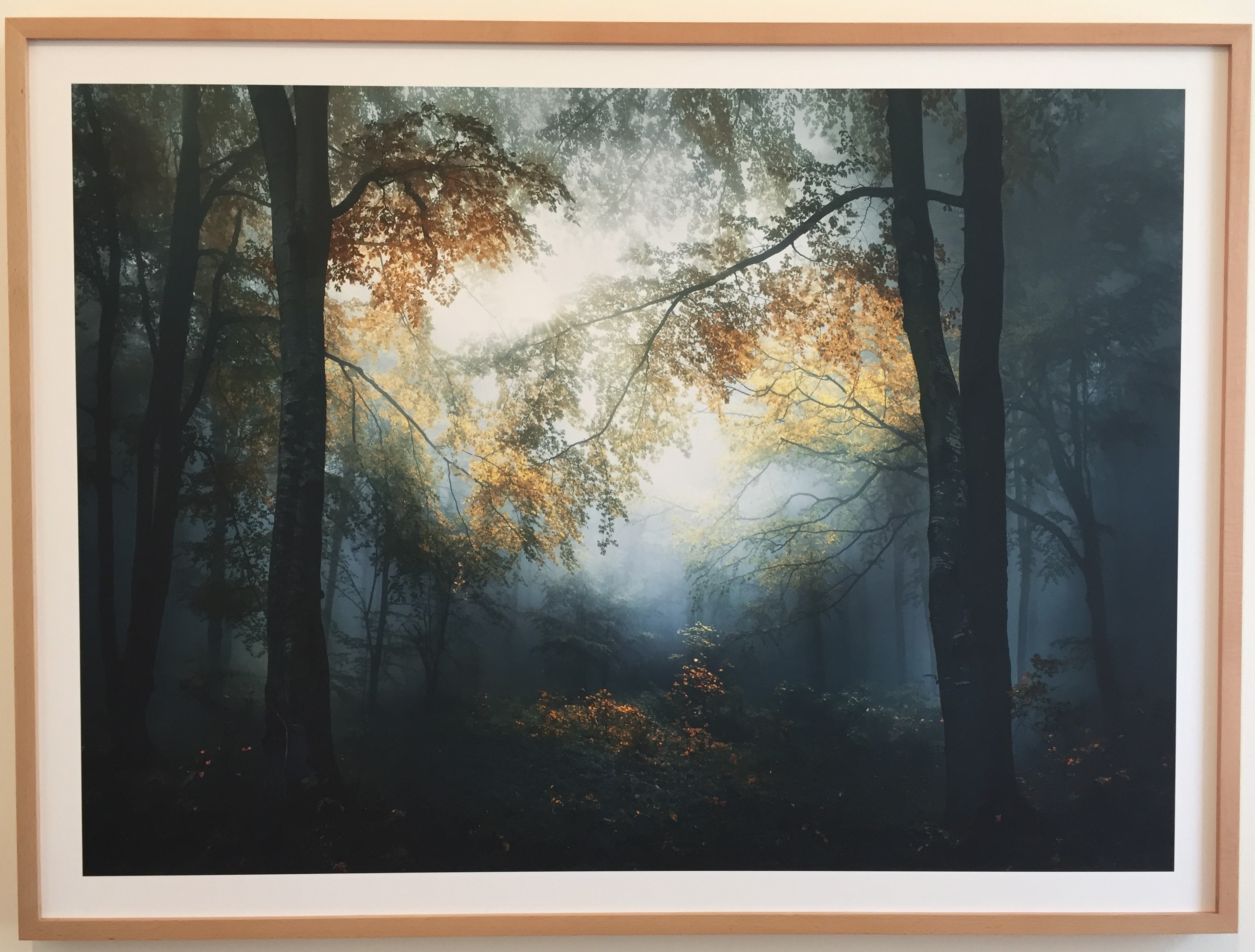 Sony World Photography Award Winner: Veselin Atanasov