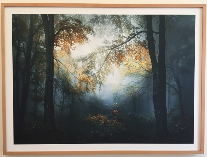 Sony World Photography Award Winner: Veselin Atanasov