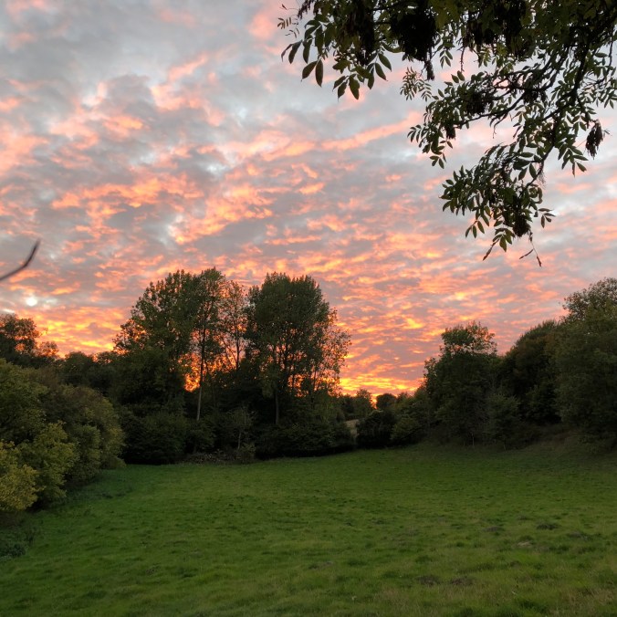 Autumnal Sunset From My Vegetable Patch