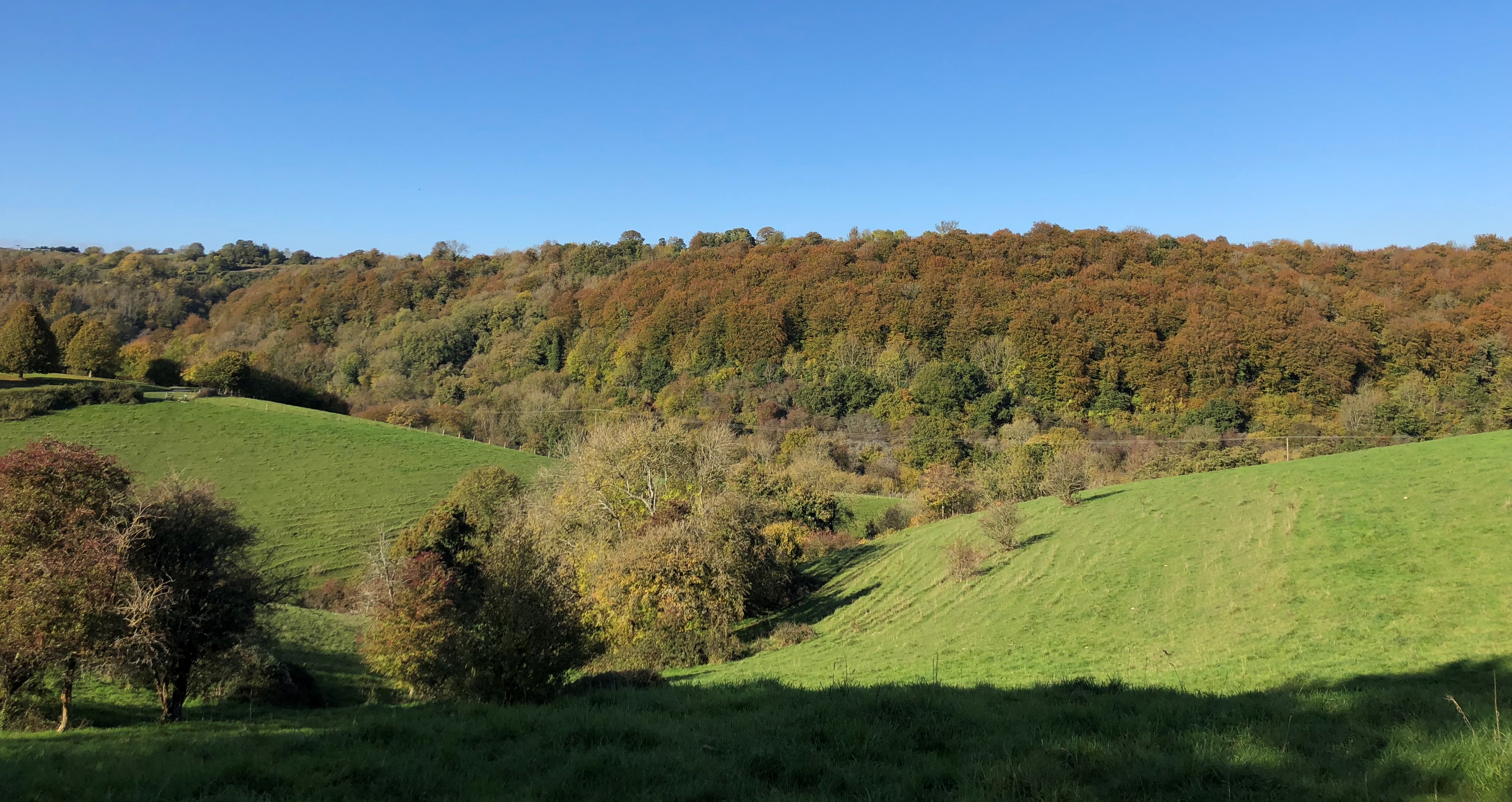 Wonderful Mid Autumn Day