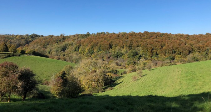 Wonderful Mid Autumn Day