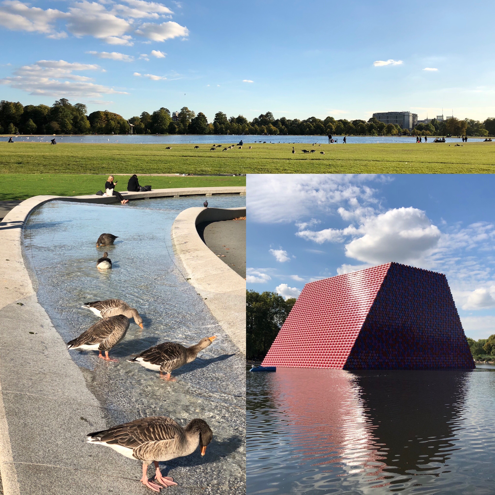 Views of Hyde Park