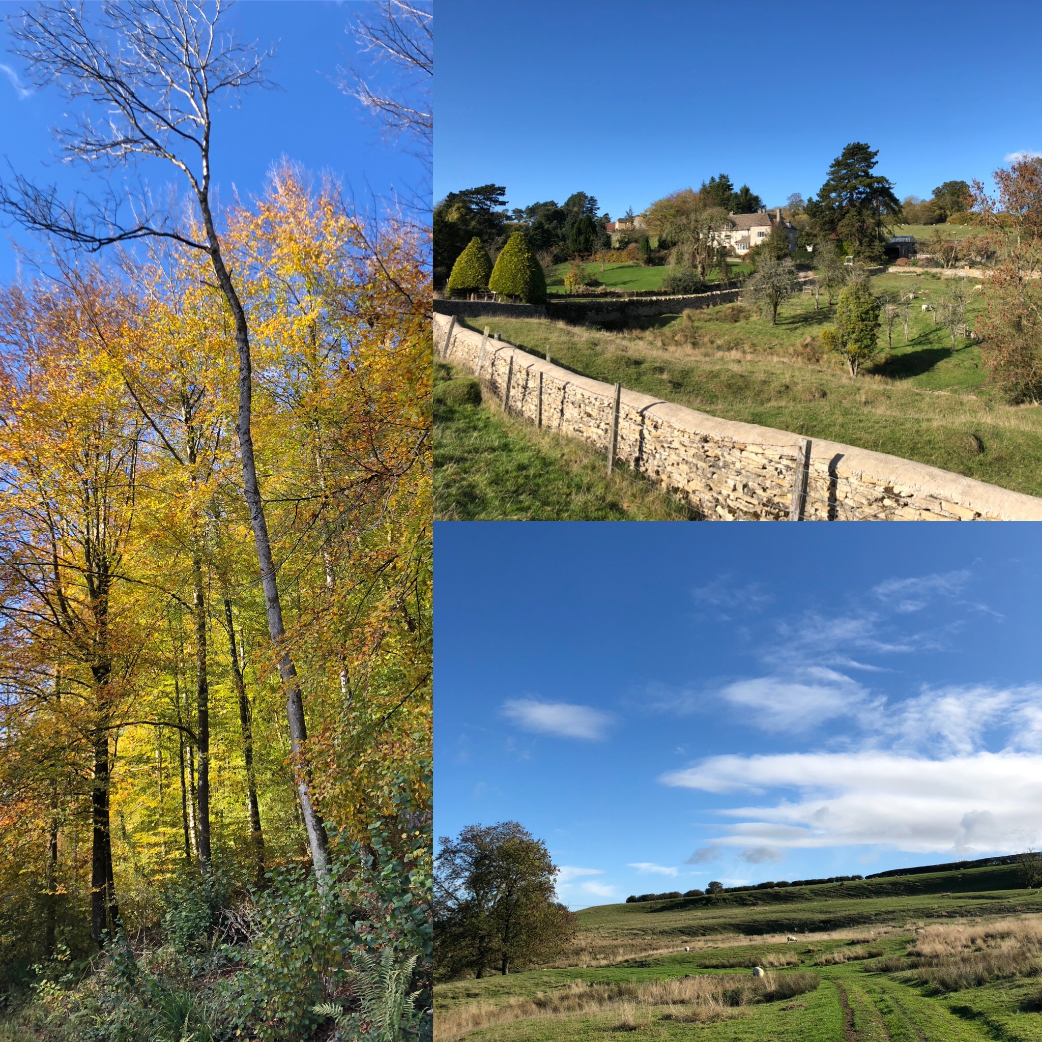 On A Local Walk Recently Recommended By The Sunday Times