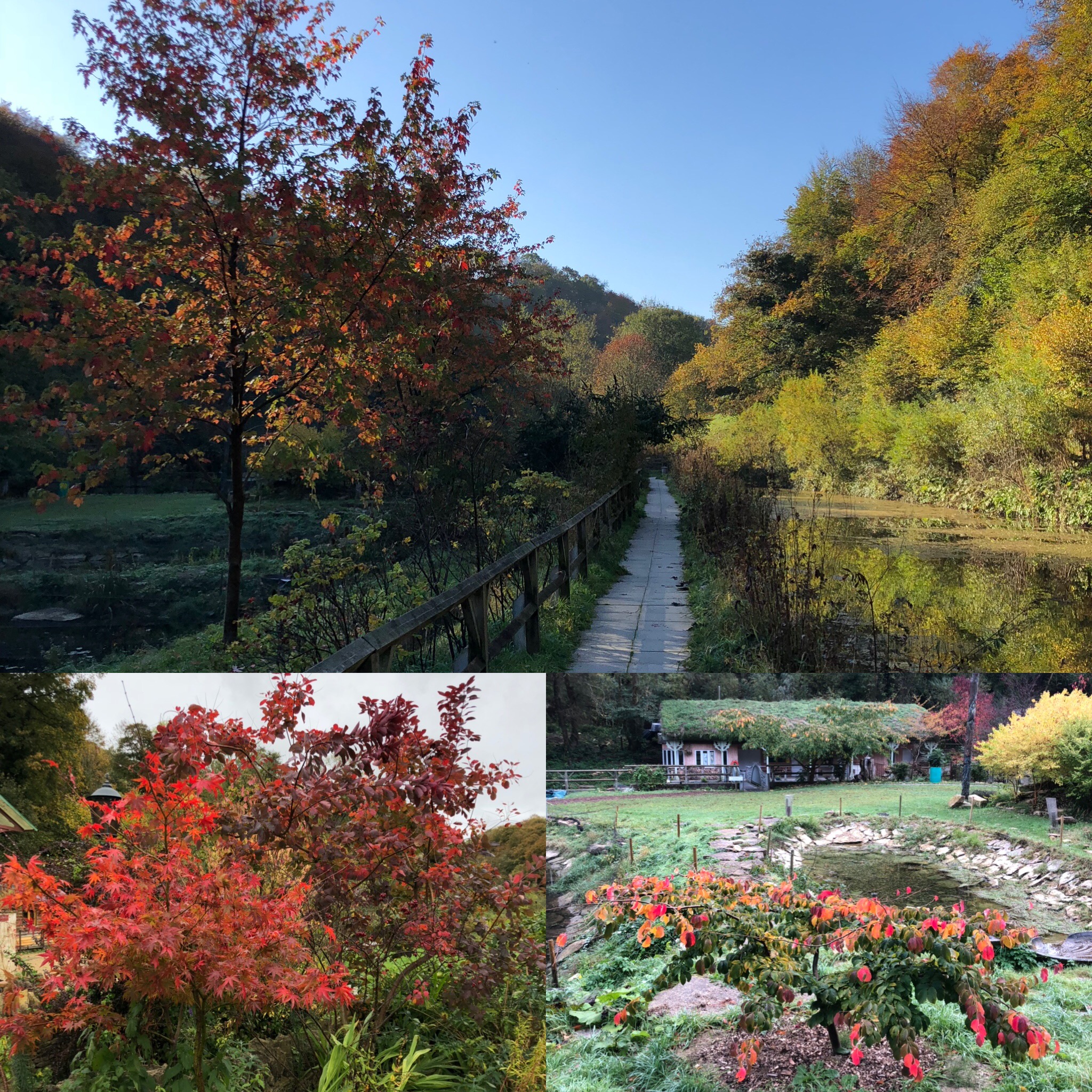 Autumn Views On The Walk To Town