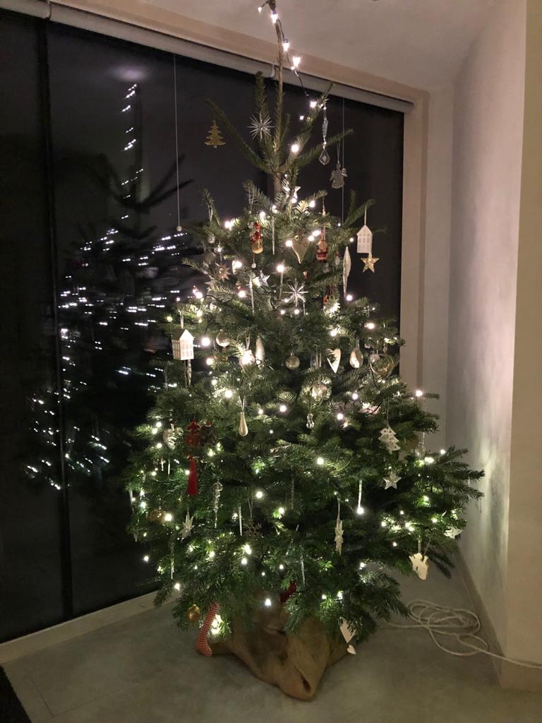 Christmas Is Coming!