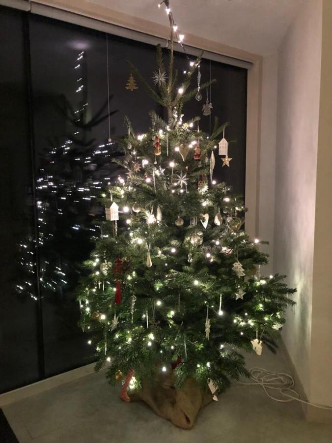 Christmas Is Coming!