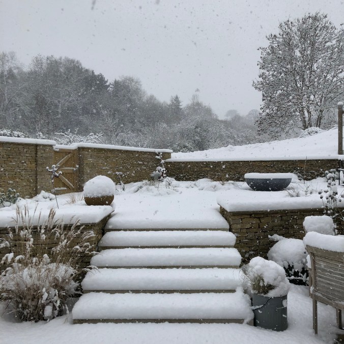Snowy Garden