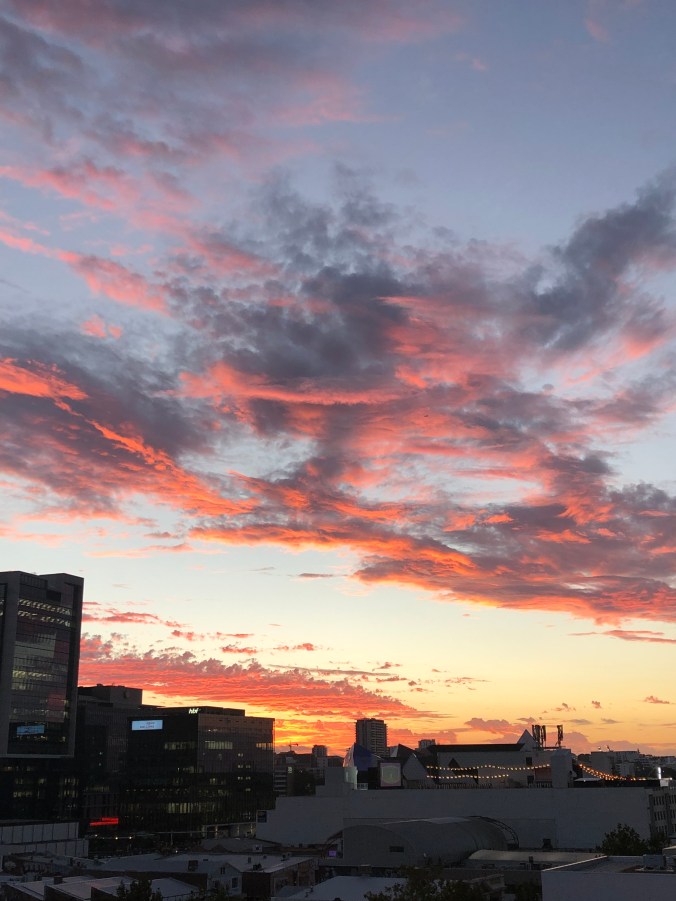 Sunset Over The Alex's Roof Top Bar