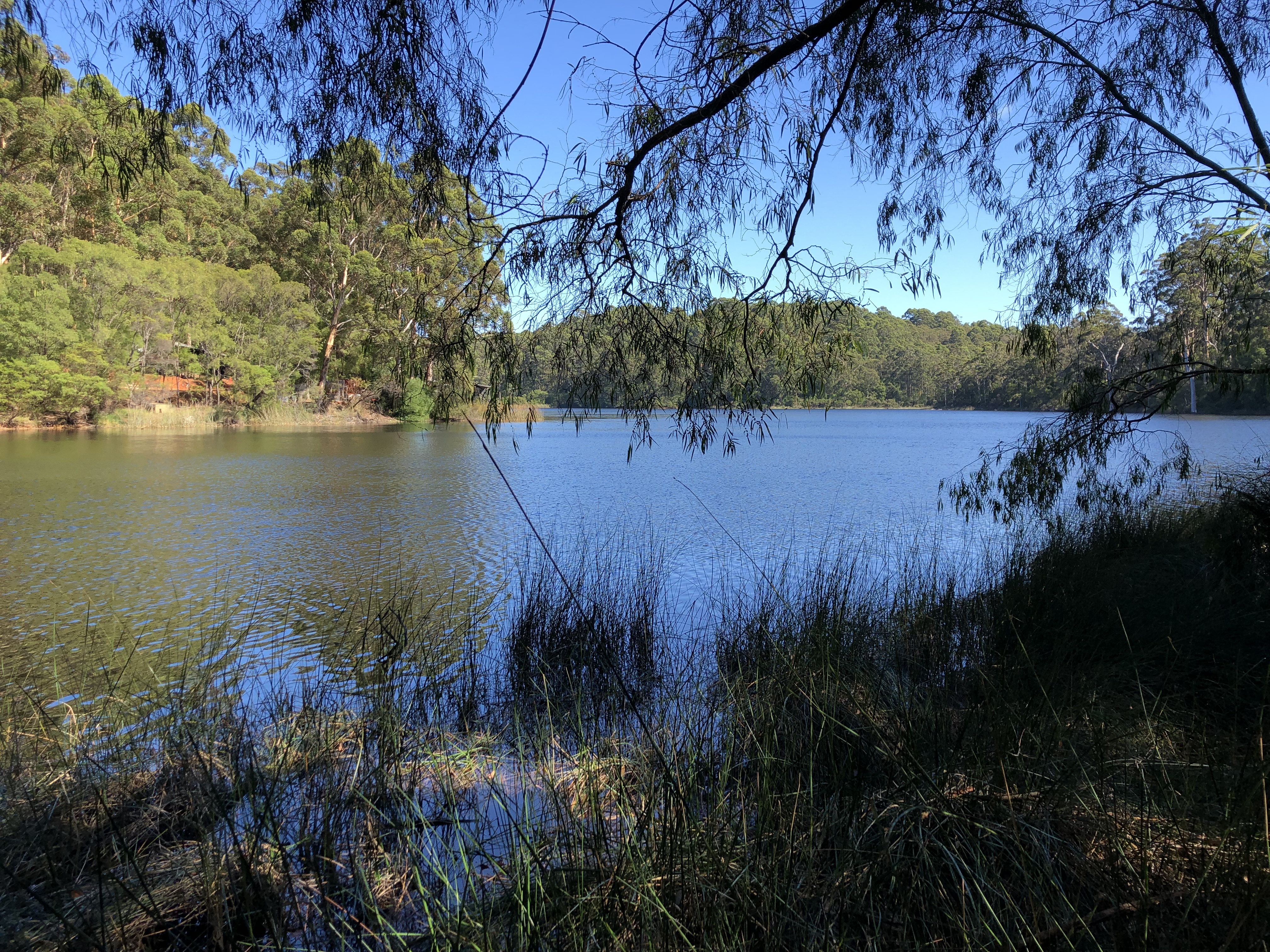 Beedelup National Park