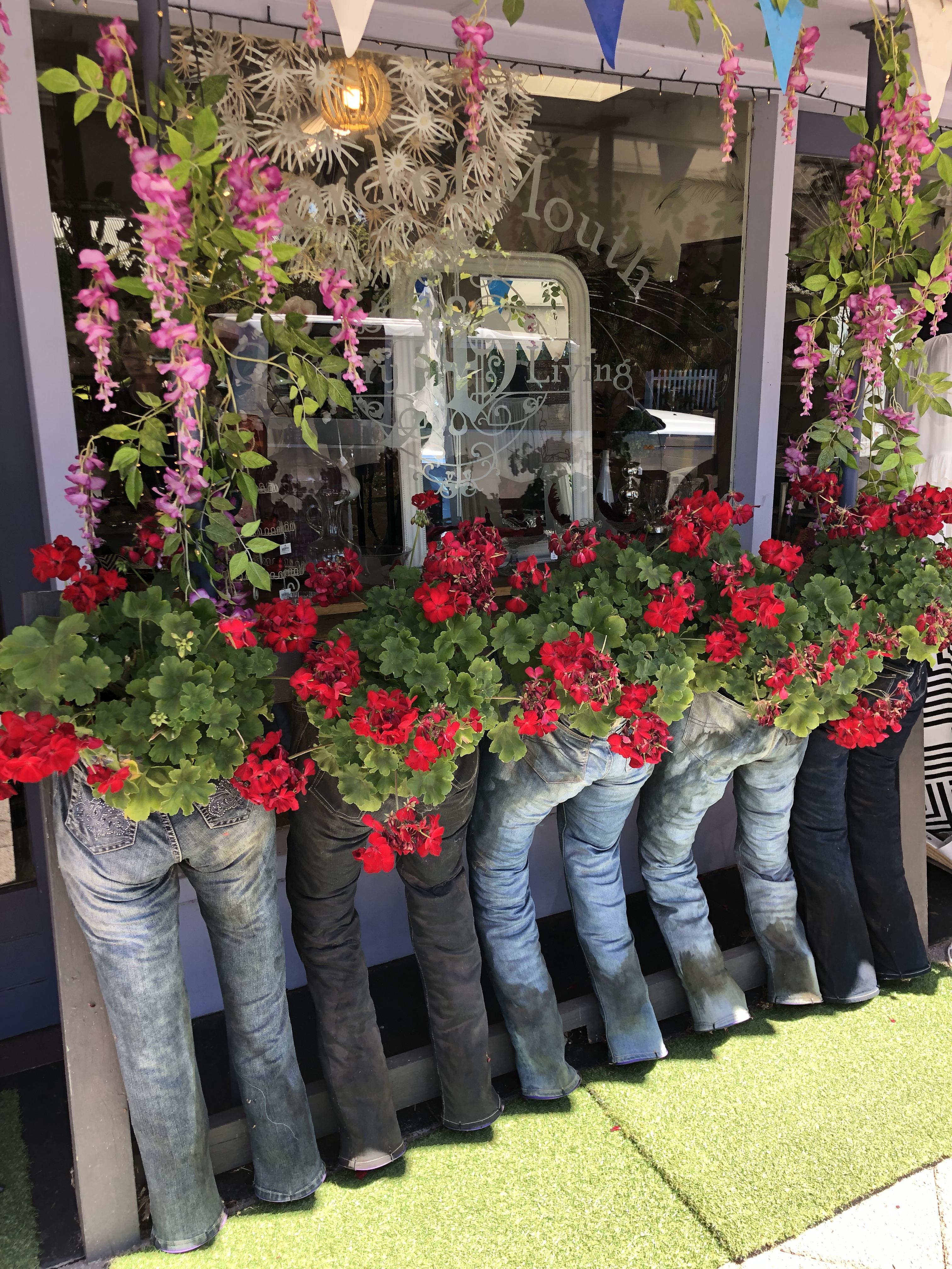 Unusual Floral Display In Nannup :)