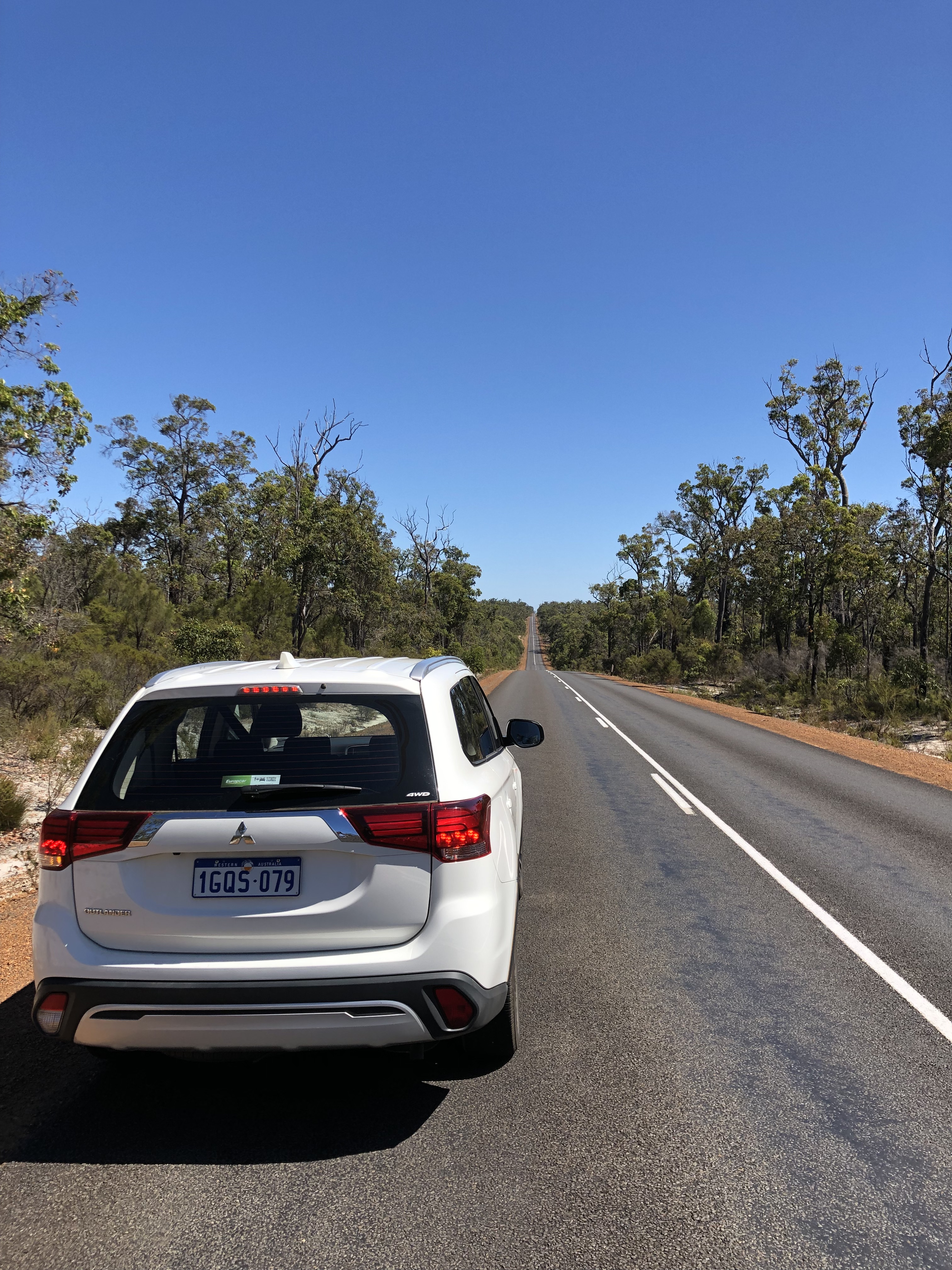 Straight Roads And Huge Eucalyptus Forests