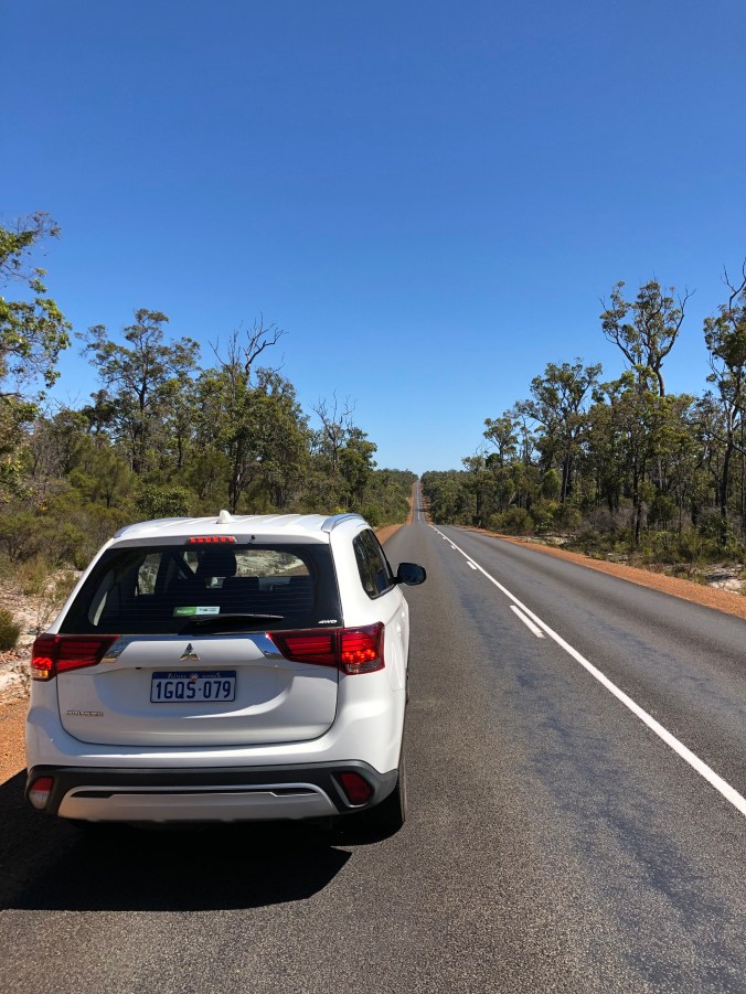 Straight Roads And Huge Eucalyptus Forests