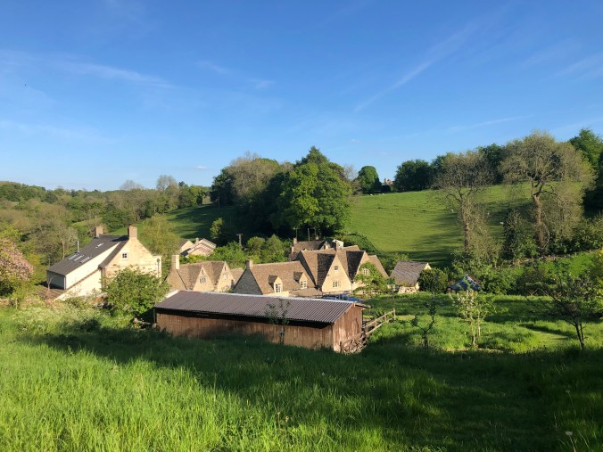 View From The Bench Near The Top Of Our Meadow
