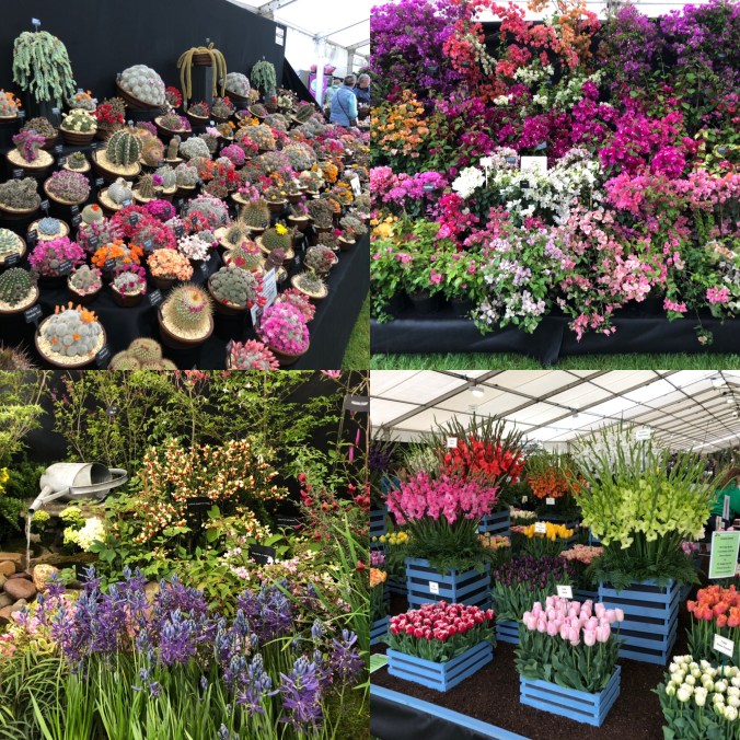 Riot of Colour In The Floral Tent At The Malvern Spring Show