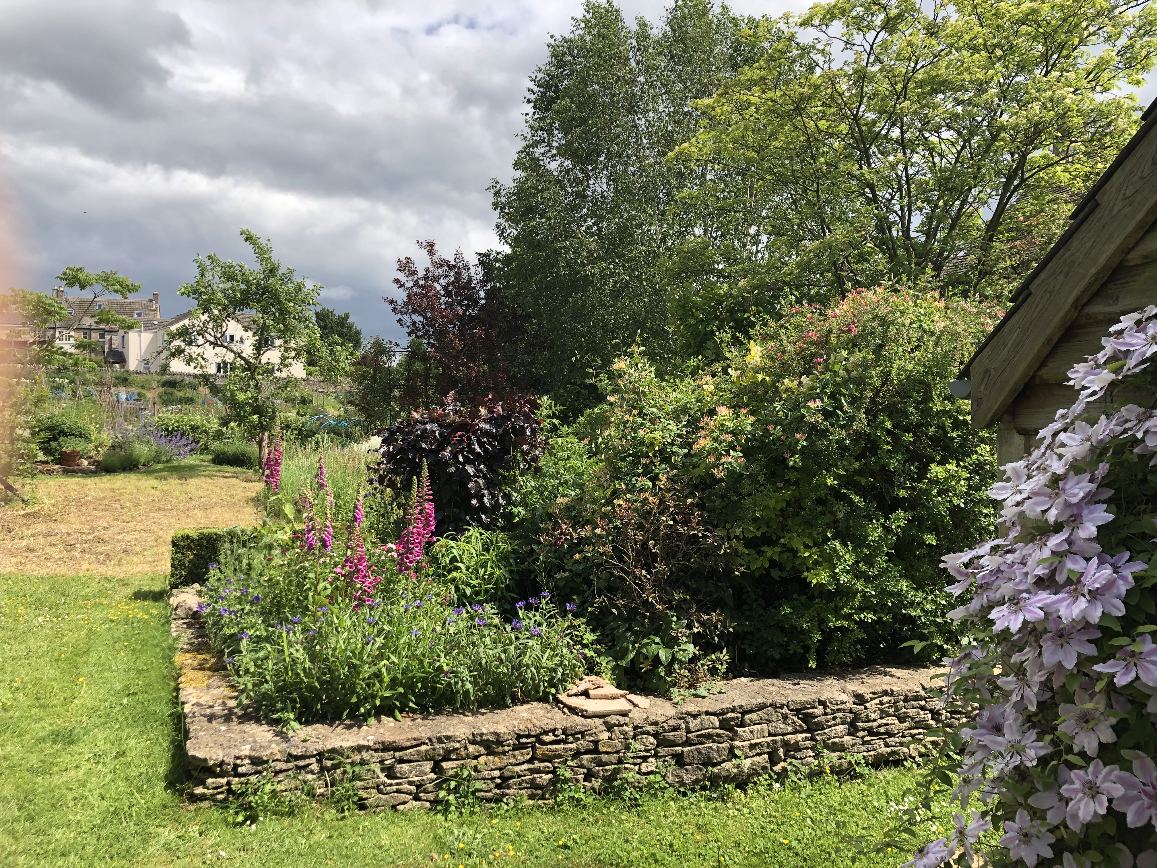 View From The Entrance To Rose Barrow Allotments