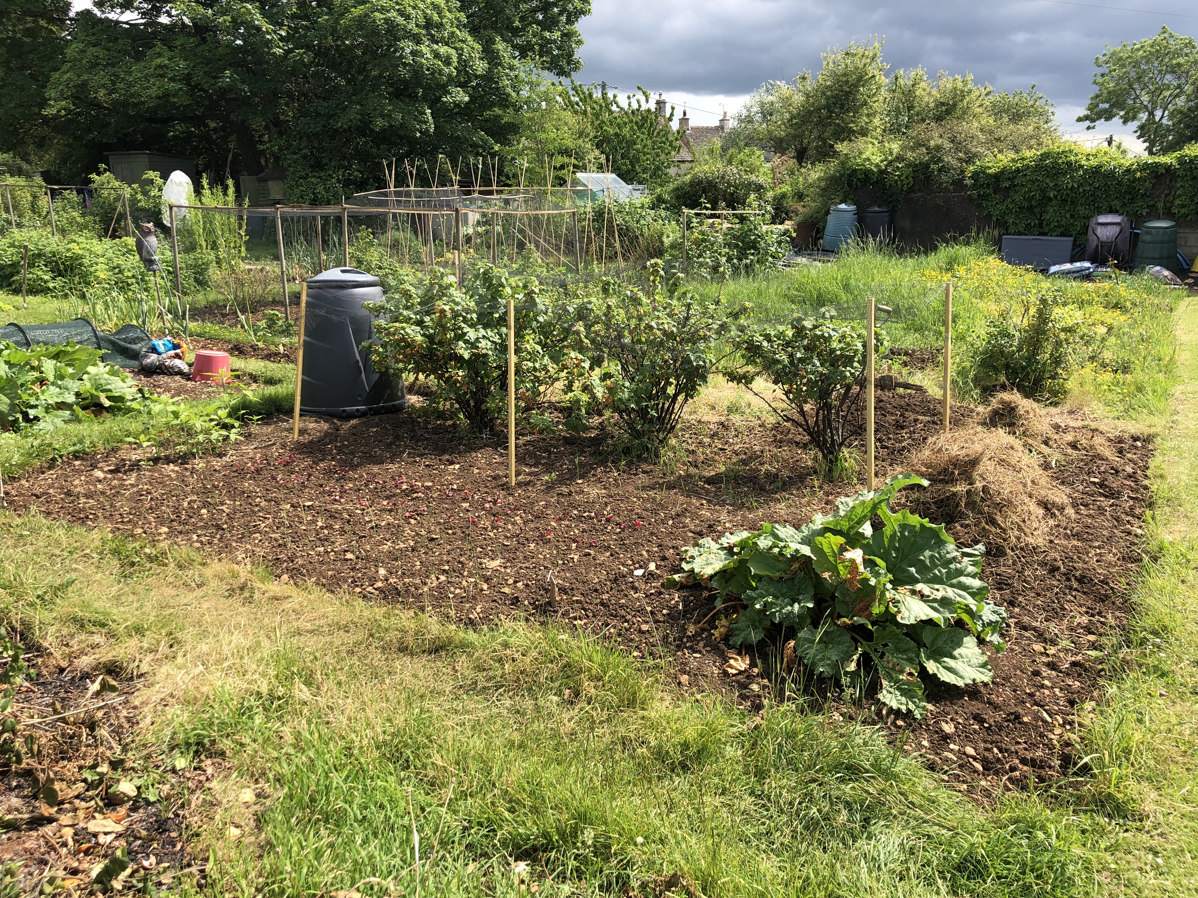 My New Quarter Allotment
