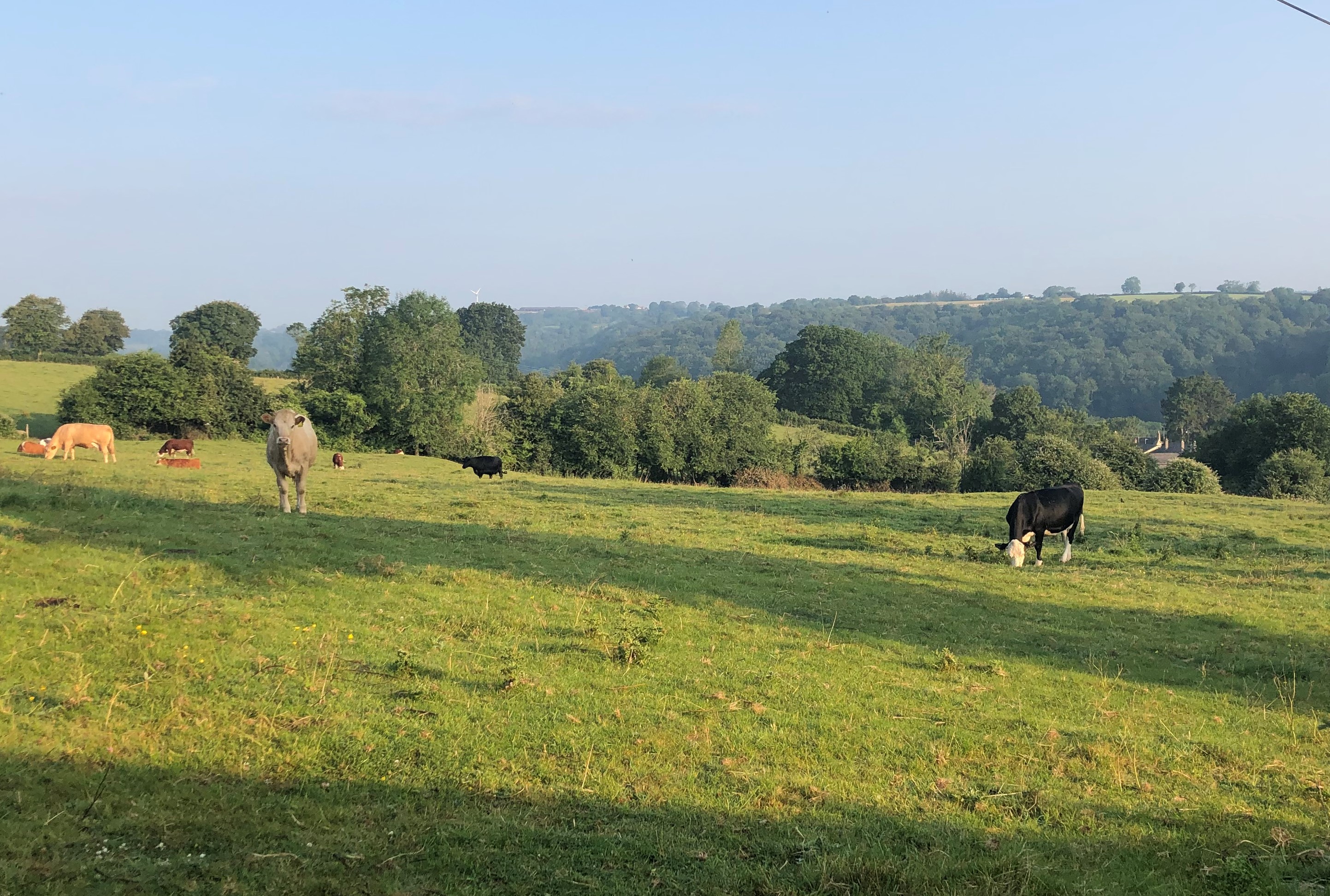 View Towards Nympsfield On The Walk To Nailsworth