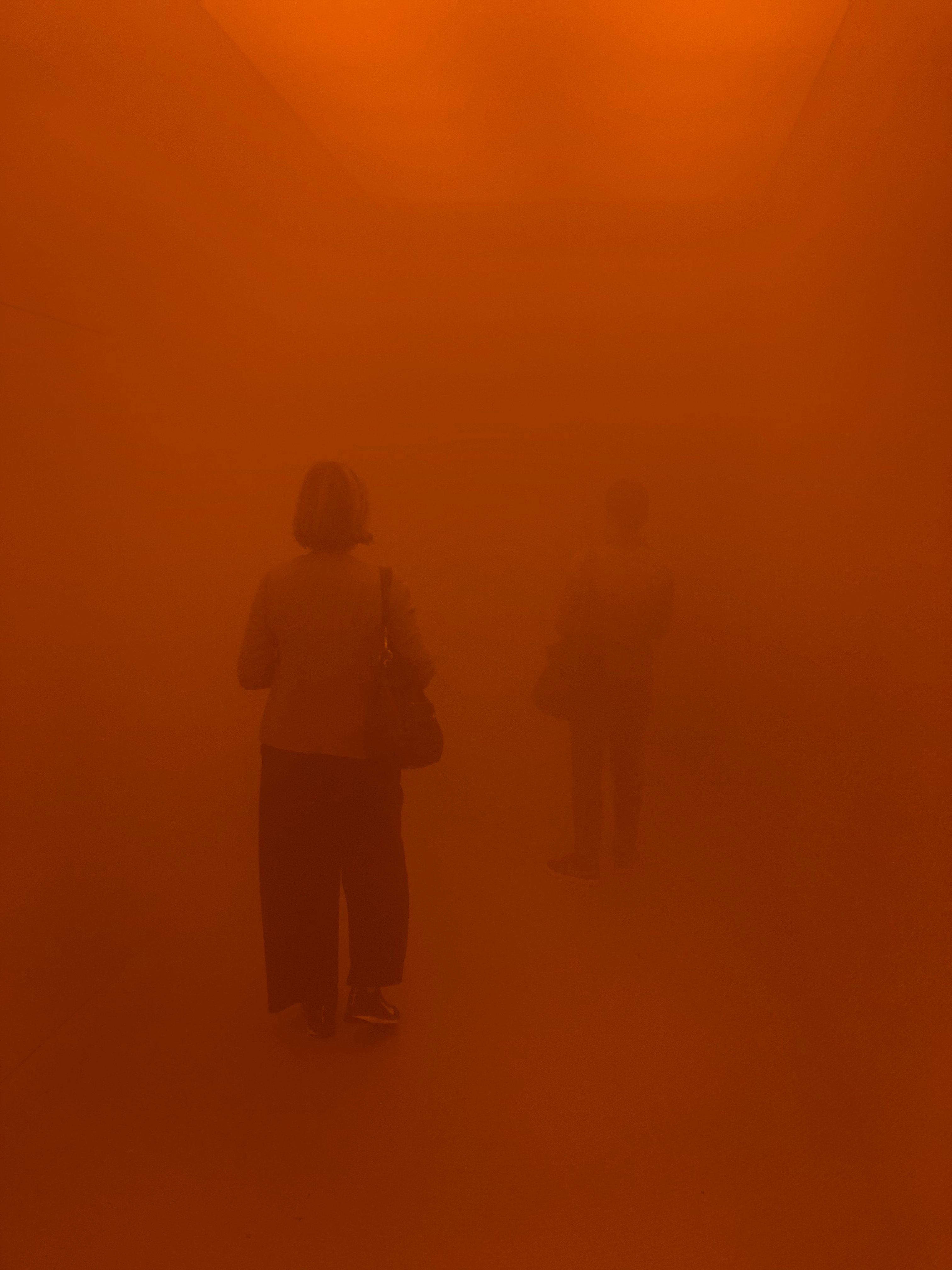 Your Blind Passenger By Olafur Eliasson (2010)