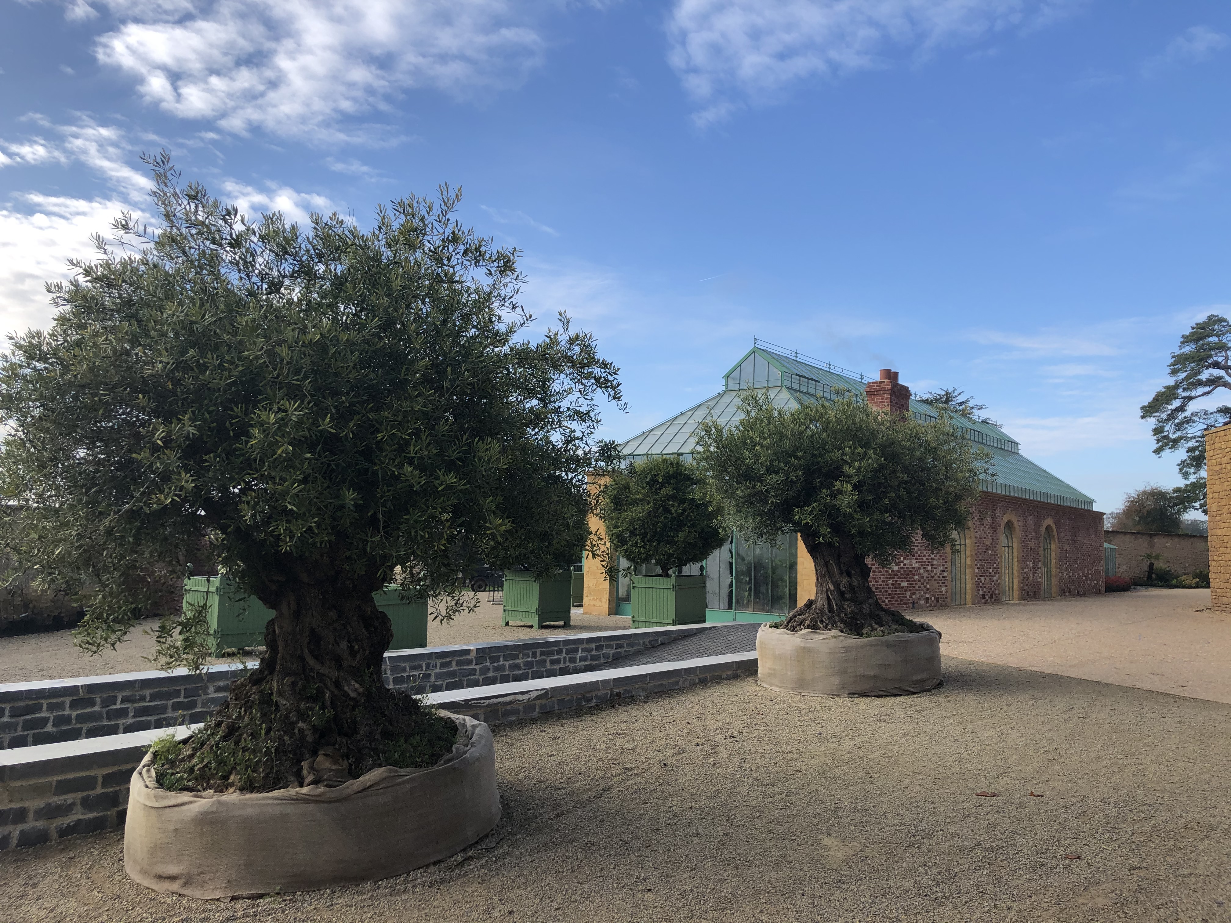 The Newt: Conservatory and Olives