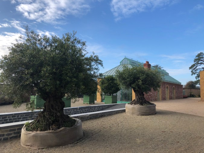 The Newt: Conservatory and Olives