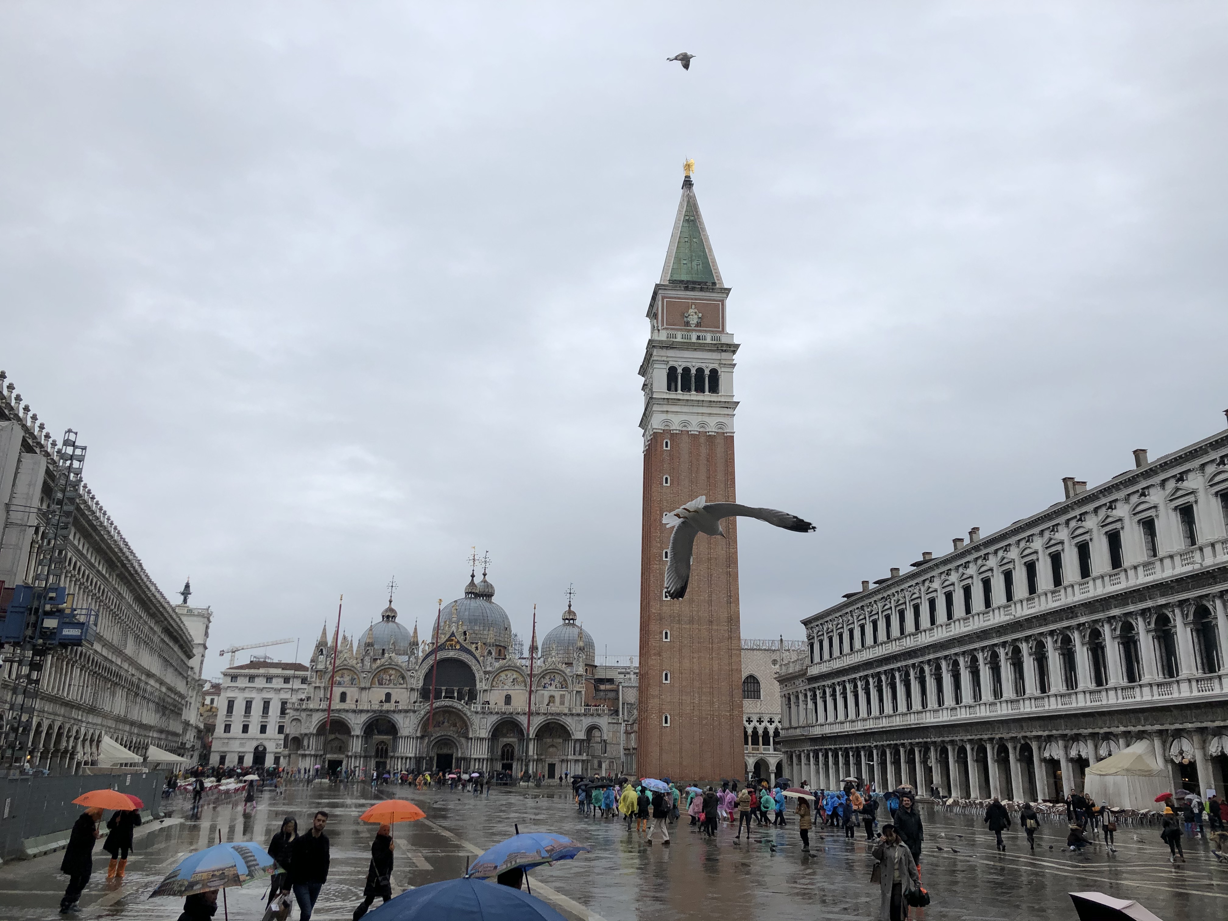 Piazza San Marco