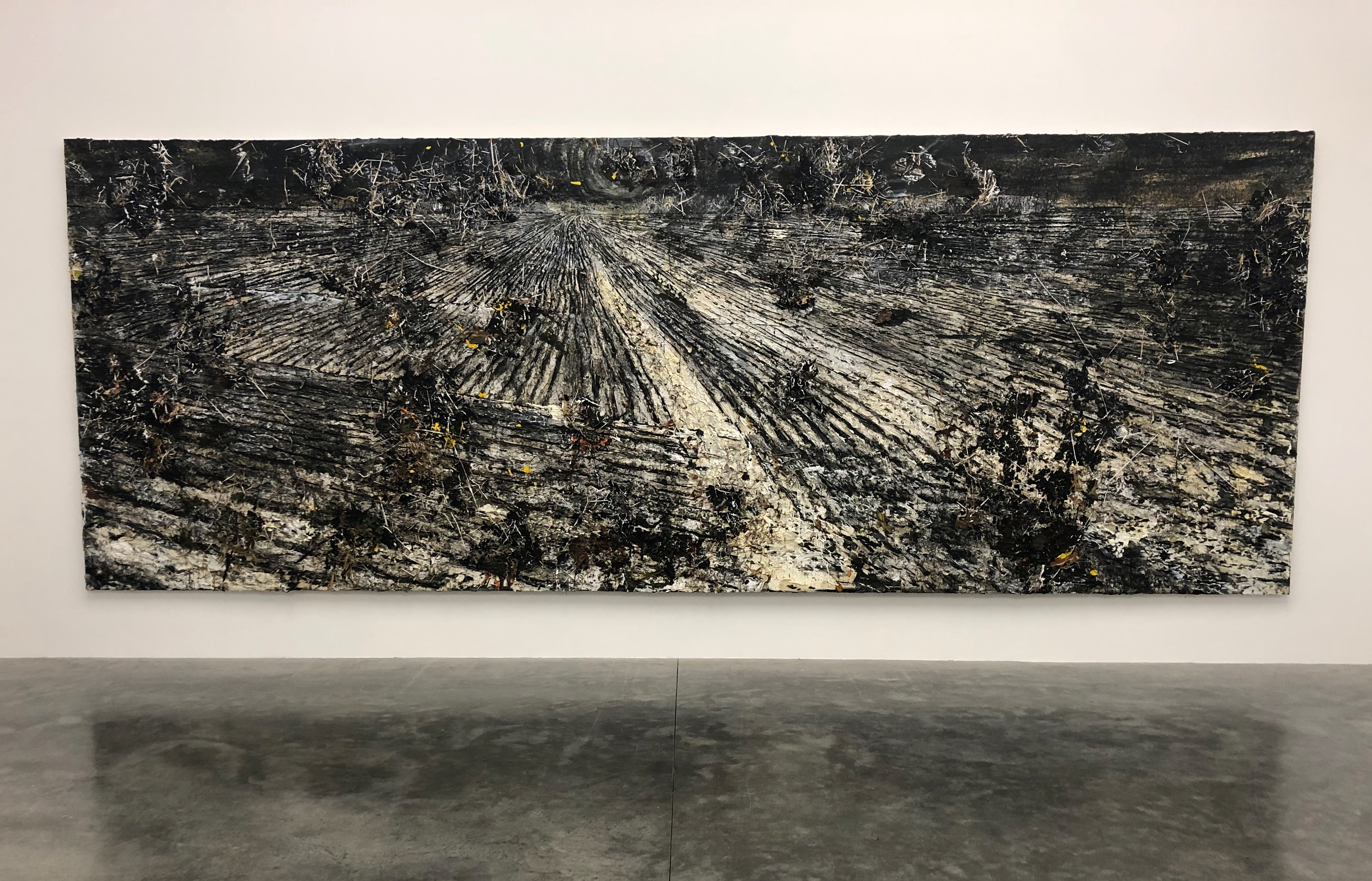 Superstrings By Anselm Kiefer At White Cube Gallery