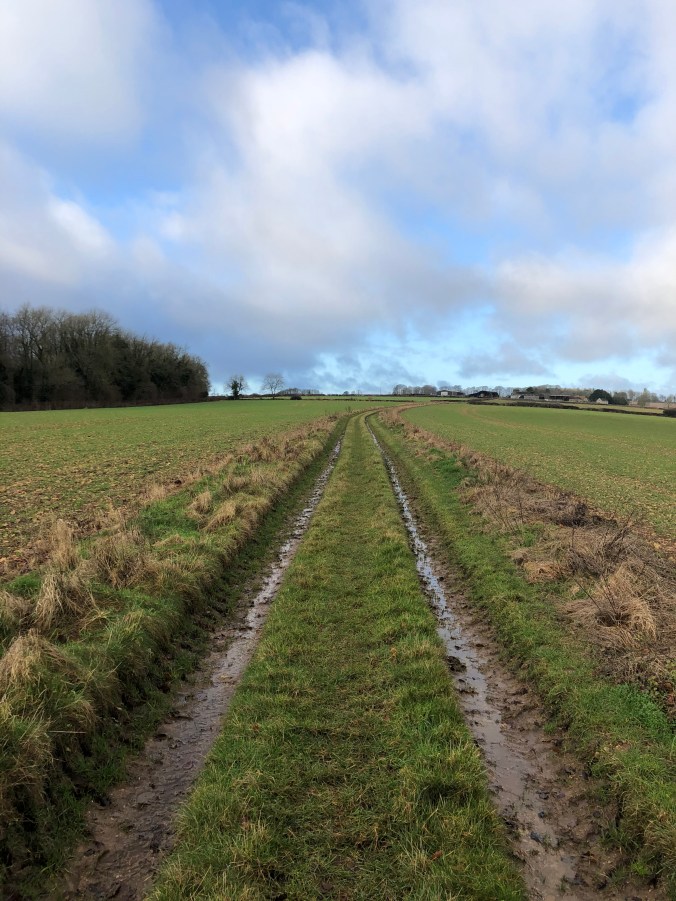 On The Cotswolds Tops