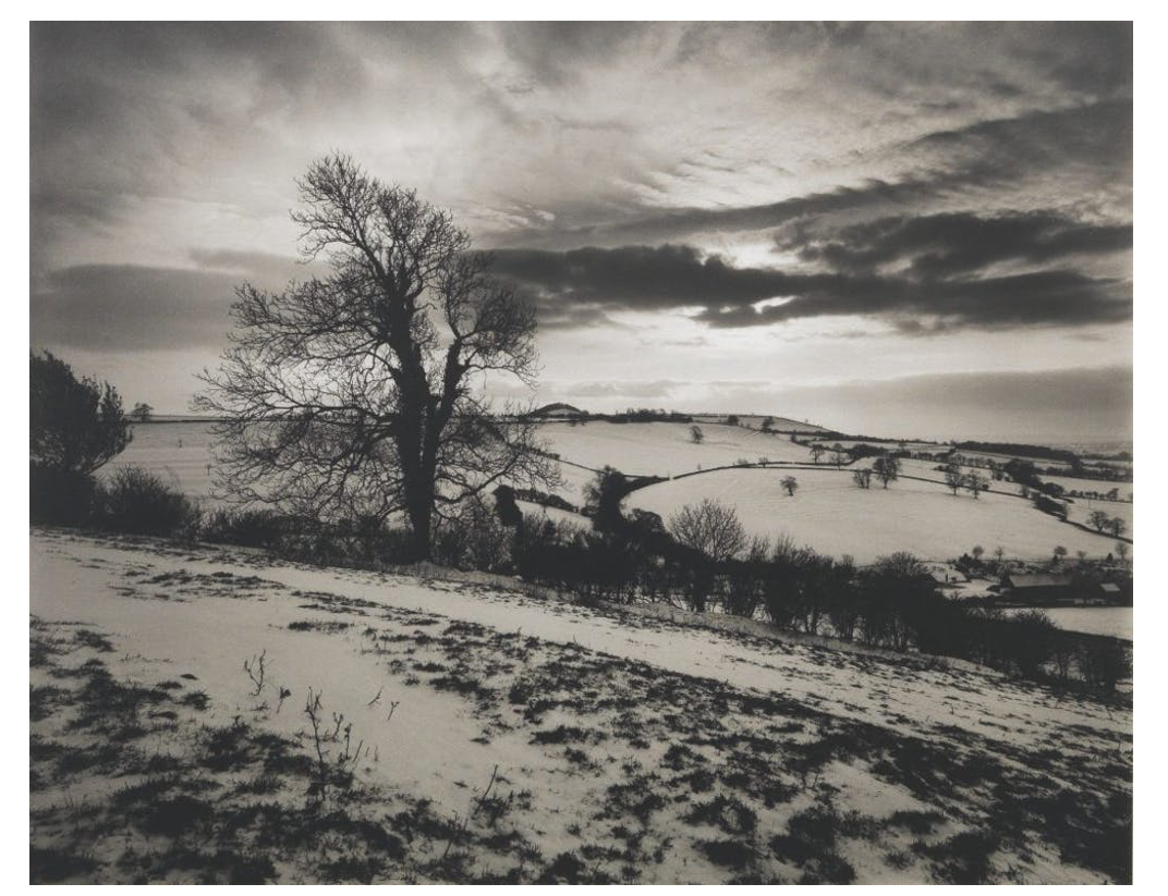 'Batcombe Vale' By Don McCullin