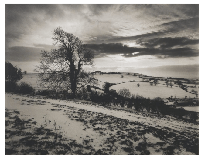 'Batcombe Vale' By Don McCullin