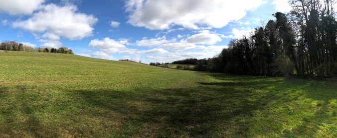 A View On One Of My Favourite Circuitous Walks To The Shops