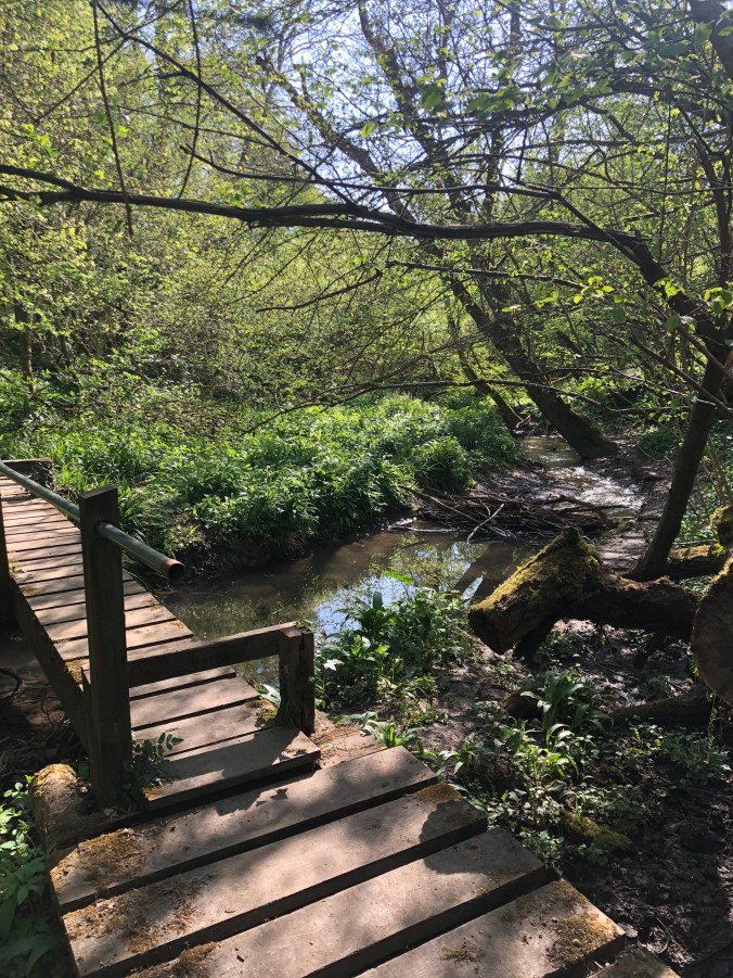 Rural Wilderness On The Long Way to Town