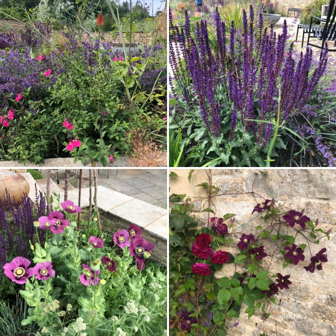 A Selection Of Garden Flowers