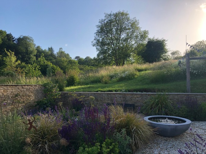 Late Evening Sun In The Garden