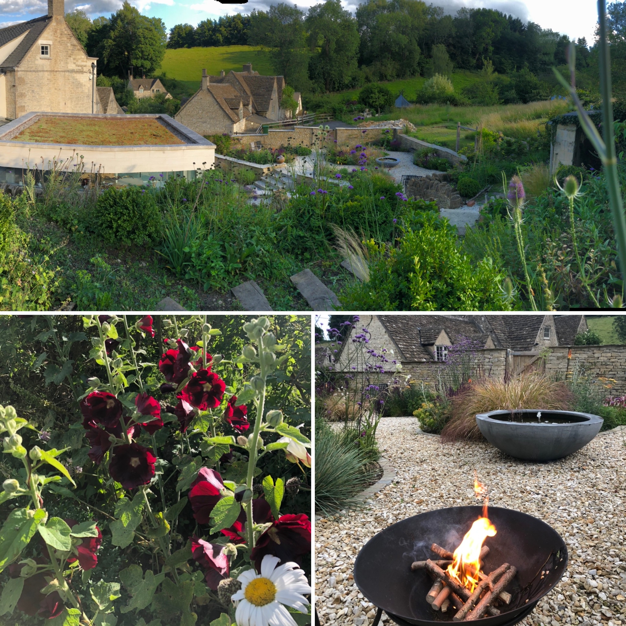 Garden Views: Panorama From Our New Gate, Hollyhocks and First Use Of The New Fire Pit