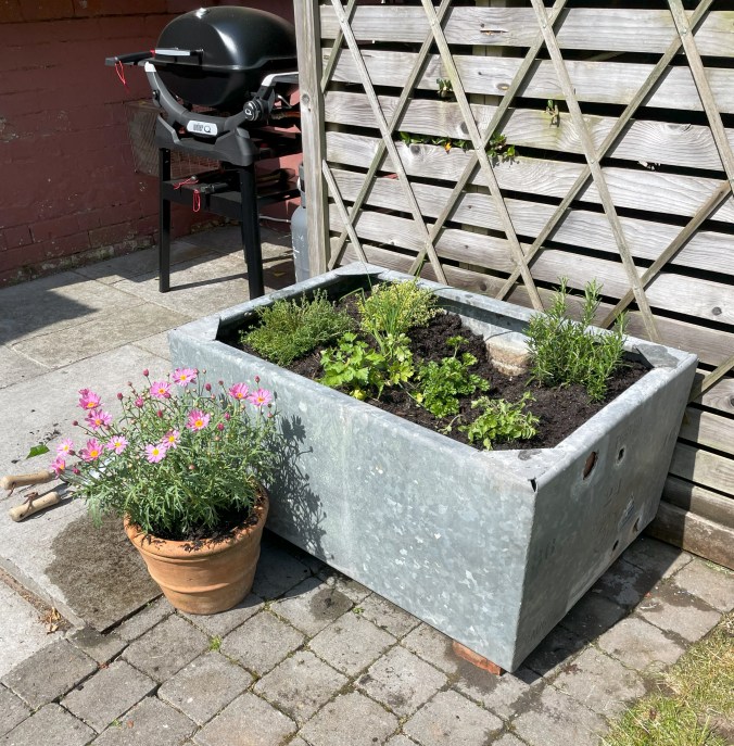 New Planting (Just Missing The Jasmine That YS Added Later)