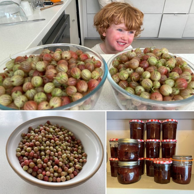 From Picking The Gooseberries To Producing Jam