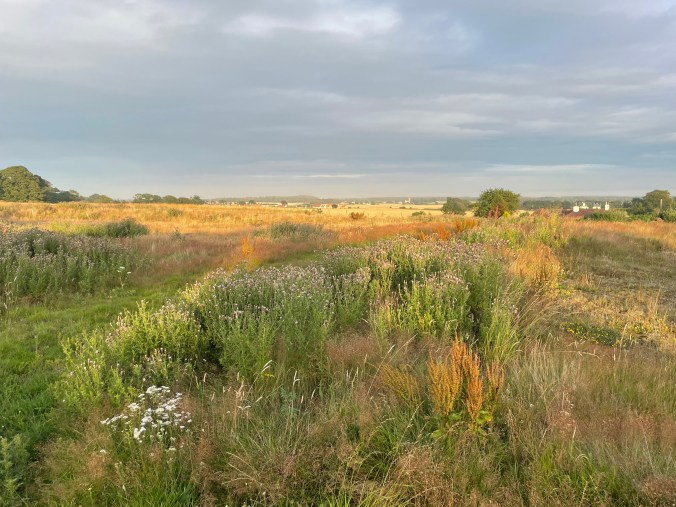 View South From Our Holiday Home