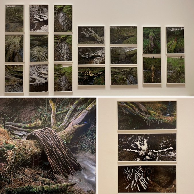 'Fallen Elm' By Andrew Goldsworthy (2009 And Ongoing)