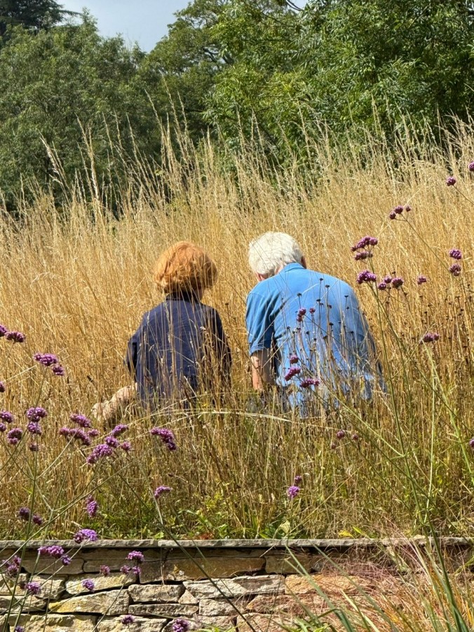 Looking For Grasshoppers With First Grandchild