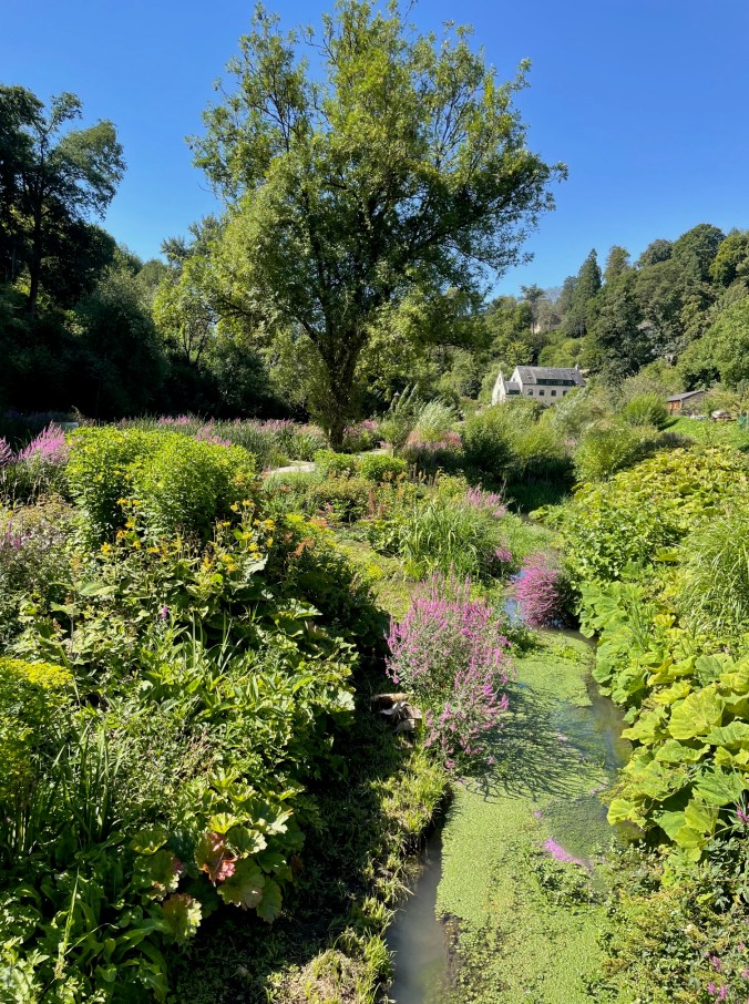 On A Local Walk To The Shops In The Sun