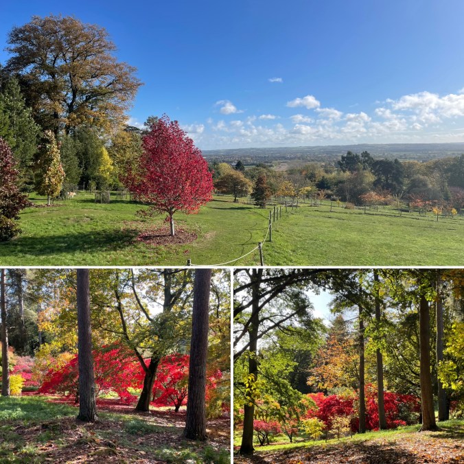 Batsford Arboretum