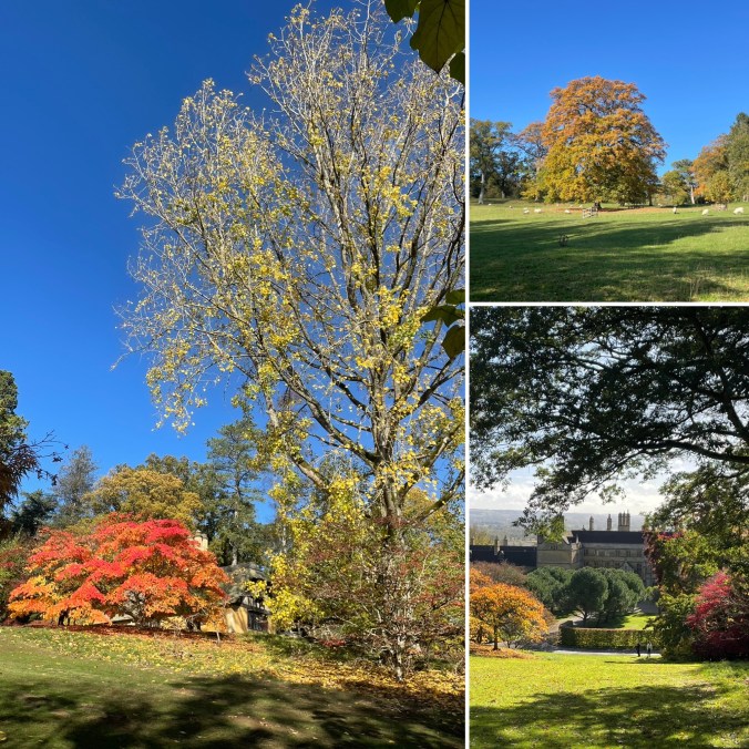 Batsford Arboretum, North Cotswolds