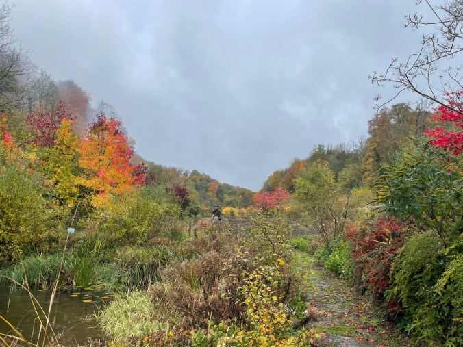 Ruskin Mill College Grounds.  Pretty Even In Autumn Rain