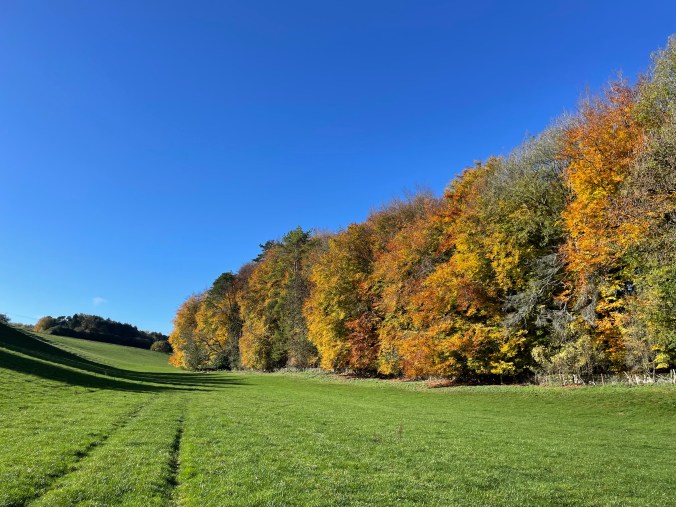 Autumn Walk.  Ledgemore Bottom, Horsley, Gloucestershire