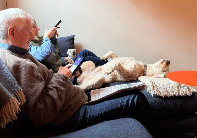 Dog (Reggie) Sitting With A Very Relaxed Dog